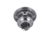 Conjunto Central Turbo MP RHF3 Kubota 1.9 Diesel - comprar online