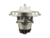 Conjunto Central Turbo 4294S Iveco Stralis 480cv Cursor 13 en internet