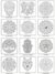 Kit Pintura Arte Mandalas Bastidores Acrilicos Pinceles - comprar online