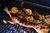 LECHON CHICO - comprar online