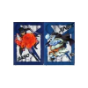 Set 2 Carpetas One Piece Battle Memories Sabo & Jinbe Bandai Ichiban Kuji
