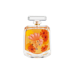 Figura Pokemon Petite Fleur Vol.2 Re-Ment en internet