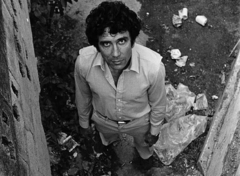 Arturo, la estrella más brillante - Reinaldo Arenas en internet