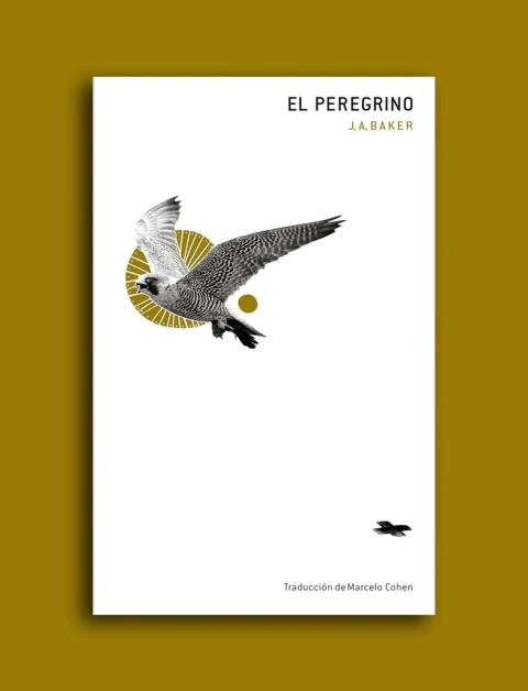 El peregrino - J.A. Baker