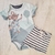 Conjunto Pintor