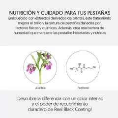 Tinte Semi Permanente para Pestañas Lifting Real Black Coating