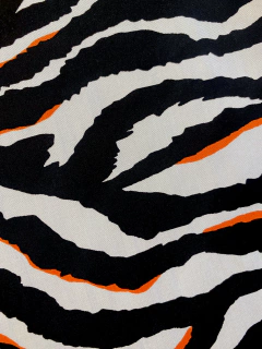 CAMISOLA CEBRA RADIOACTIVA MANGA LARGA - comprar online