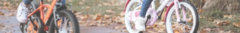 Banner de la categoría Rodado 12