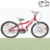 Bicicleta Newton Grow Rodado 24 Paseo Infantil Niño Niña - tienda online