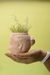Mate Lapicero Florero Maceta Escultura Venus en internet
