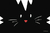 Individual Gato Negro