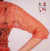 Torerita de Encaje con lurex y galones color Ocre - tienda online