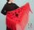 Machine-embroidered Jersey Shawl, Spanish, 160 m, Red with Black - Amapolas Moras