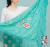 Machine-embroidered Jersey Shawl, Spanish, 160 m, Water Green with multicolored flowers on internet