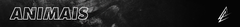 Banner da categoria ANIMAIS