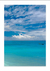 QUADRO PARADISE OCEAN NAVIGATE - Paradise
