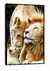Imagem do QUADRO PARADISE CLÃN