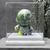 Munny Paradise Dollar