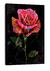 Imagem do Quadro Paradise Graphite Art in Rose