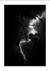 Quadro Paradise Lightning and Darkness - Paradise