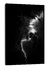 Imagem do Quadro Paradise Lightning and Darkness