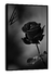 Imagem do Quadro Paradise Black Rose