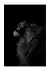 Quadro Paradise King Power - Paradise