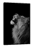 Imagem do Quadro Paradise King Power