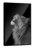 Quadro Paradise King Power - comprar online