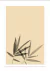 QUADRO PARADISE BAMBOO - Paradise