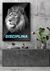 QUADRO PARADISE DISCIPLINA