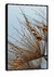 Imagem do QUADRO PARADISE GREY