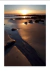 QUADRO PARADISE NATURAL PRAIA FIM DE TARDE - Paradise