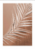 QUADRO PARADISE PINK PALMS - Paradise