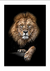 QUADRO PARADISE SHADOW LION - Paradise