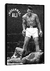 Imagem do QUADRO PARADISE SPORTS ALI