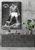 QUADRO PARADISE SPORTS ALI