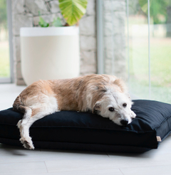 CAMA PERROS XL "GOOD D DOG" NEGRO - comprar online