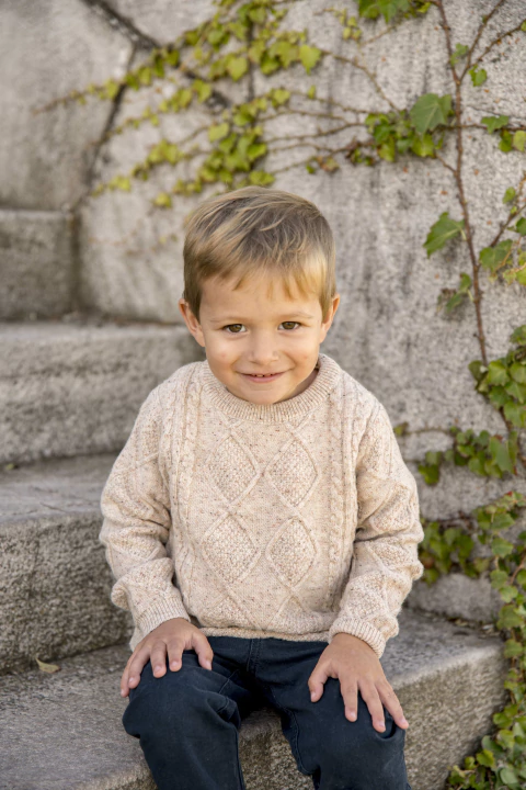 Sweater Cosmos Jr - comprar online