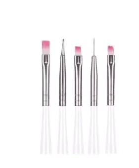 SET X 5 PINCELES Y PUNTAS