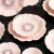 Plato Amapola mediano - comprar online