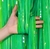 Cortina verde - comprar online