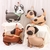 Set de 4 globos Perritos - comprar online