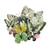 Mariposas 3D x 16 - comprar online