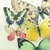 Imagen de Mariposas 3D x 16