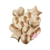 Set de 14 globos Gold rose - comprar online