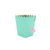 Pochocleras Maria Aqua pastel x 10