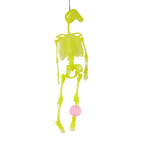 Esqueleto fluorescente