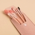 Imagen de Kit de brochas make up + estuche