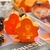 Colgante farol calabaza led x 1